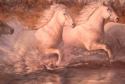 horses5.jpg